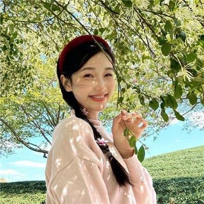 没牙的老虎
